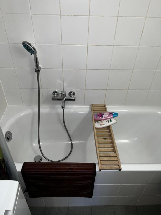 Ferienwohnung Beautiful Large Studio In Center Of Geneva Free Wifi Exterior foto
