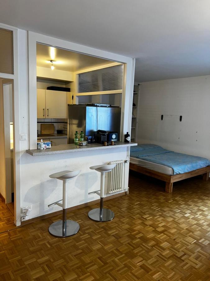 Ferienwohnung Beautiful Large Studio In Center Of Geneva Free Wifi Exterior foto